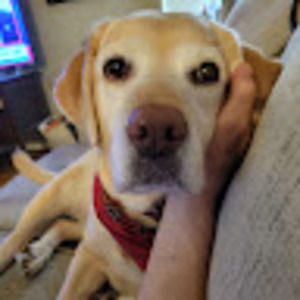 Meet your Posher, Carl